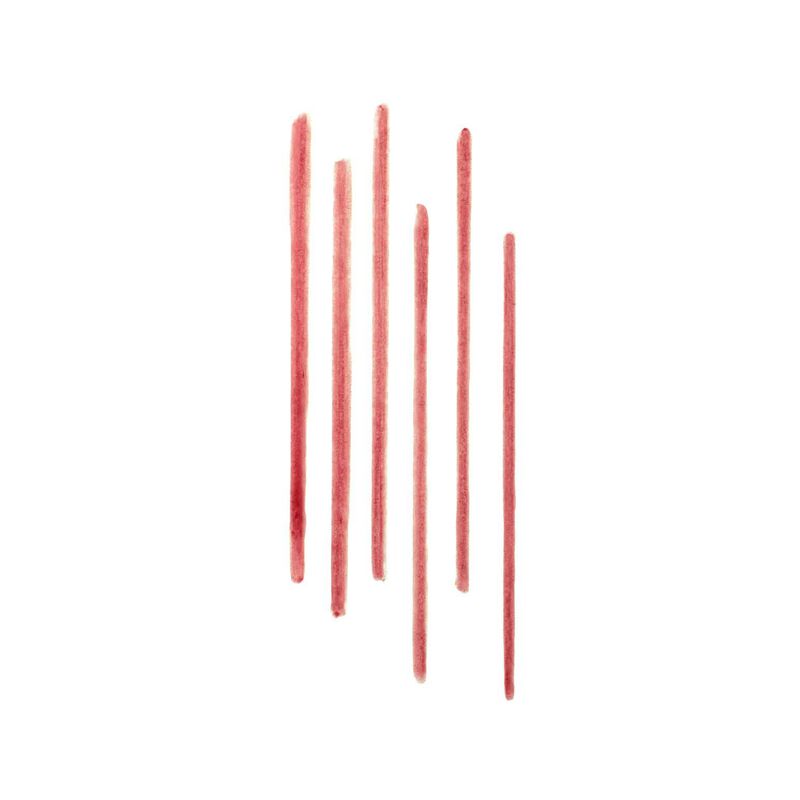 Bobbi Brown Lip Tint Liner image number 9